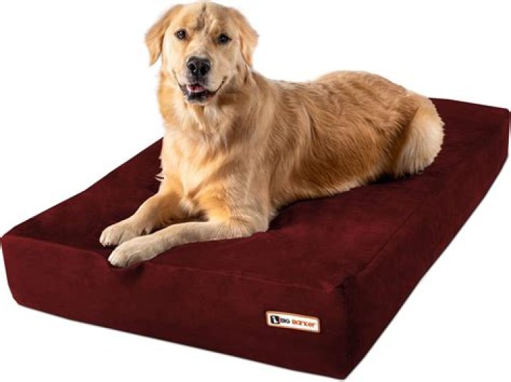 Discover The Ultimate Comfort For Senior Dogs With Arthritis: Our Revolutionary Dog Bed