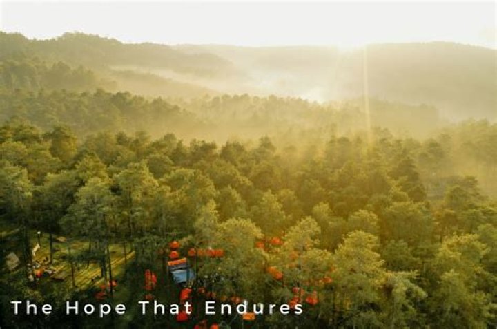 Discoveries And Hope Amidst Adversity