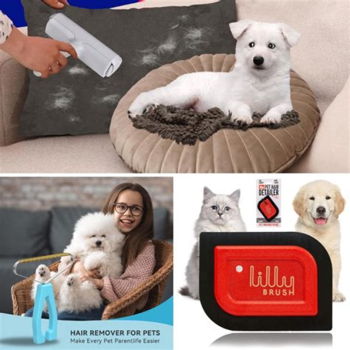 Discoveries In Dog Brush Hair Removers For Healthy Pet Care
