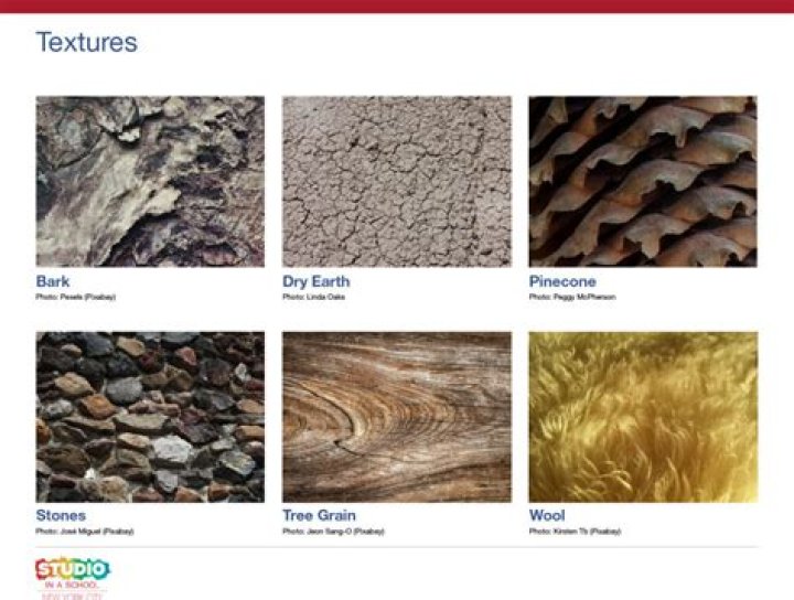 Explore A World Of Textures And Styles