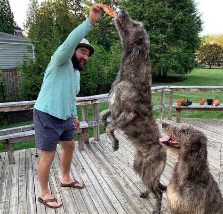 Jason Kelce's Dogs And Their Impact