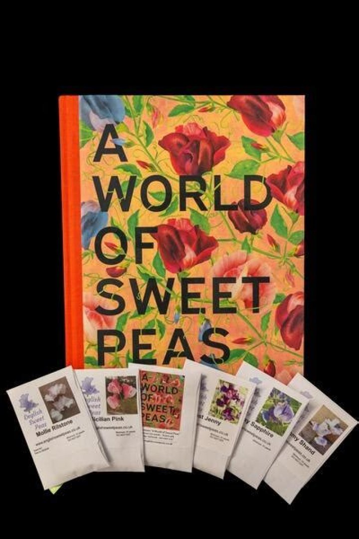 Unlocking A World Of Sweet Discoveries