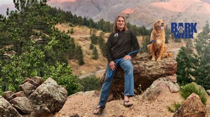 Unveiling Dr. Jeff Young's Net Worth: Discoveries And Insights