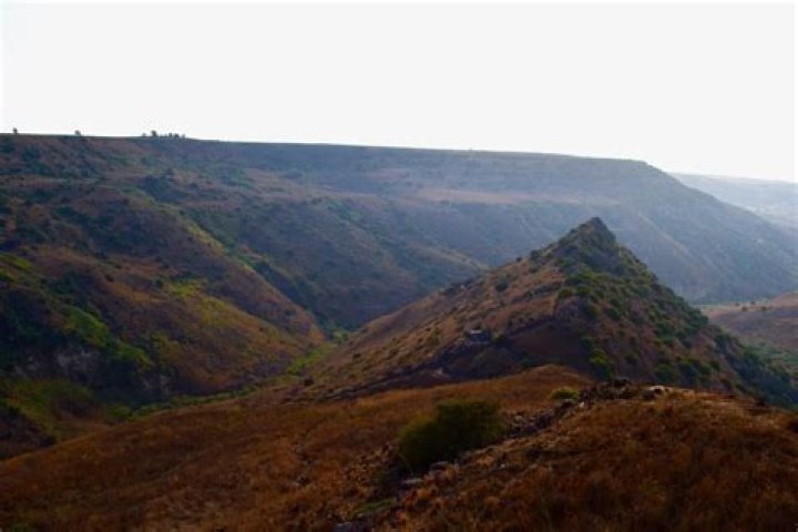 Unveiling Gali Golan's Multifaceted Brilliance: Discoveries And Insights