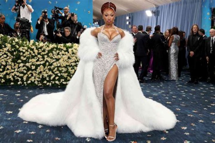 Unveiling "Megan Thee Stallion Fap Tribute": Discoveries And Insights