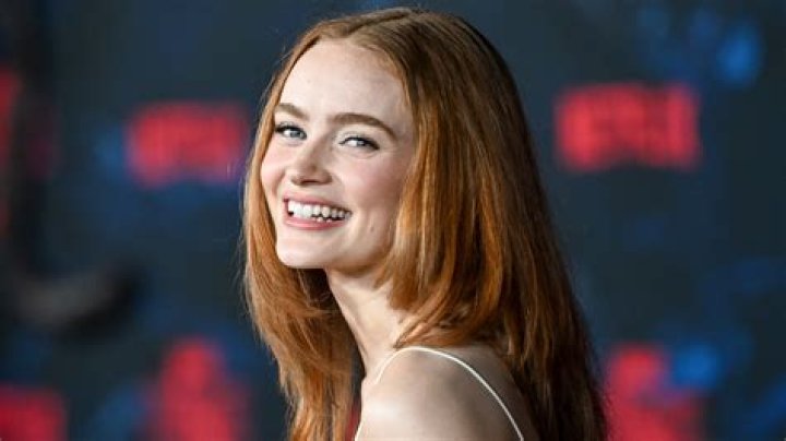 Unveiling Sadie Sink's Relationship: Discoveries And Insights