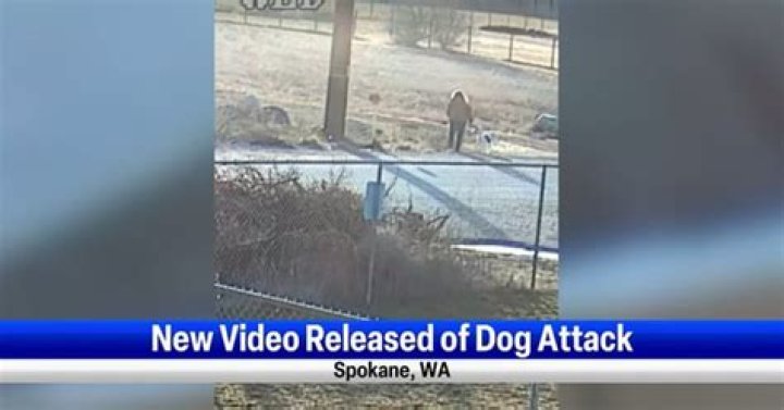 Unveiling The Truth: Spokane Dog Attack Halloween