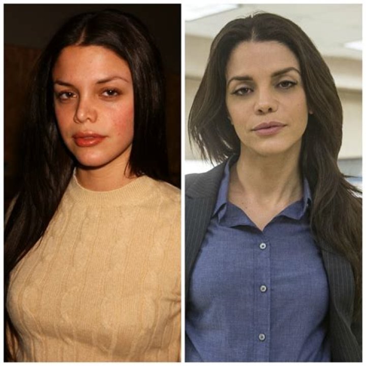 Unveiling Vanessa Ferlito's Plastic Surgery Journey: Surprising Revelations