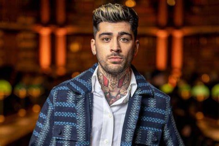 Unveiling Zayn Malik's 2024 Vision: Discoveries And Insights
